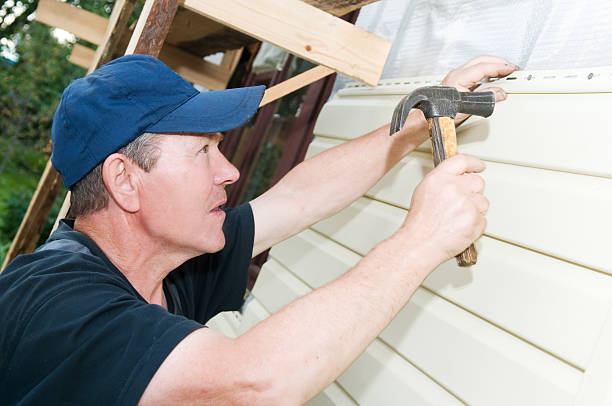 Best Vinyl Siding Installation  in Chisholm, ME