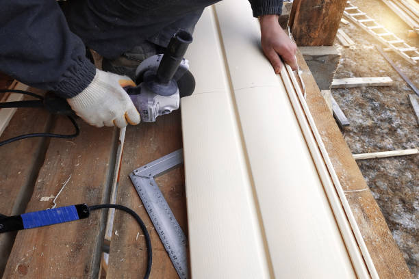 Affordable Siding Repair and Maintenance Services in Chisholm, ME