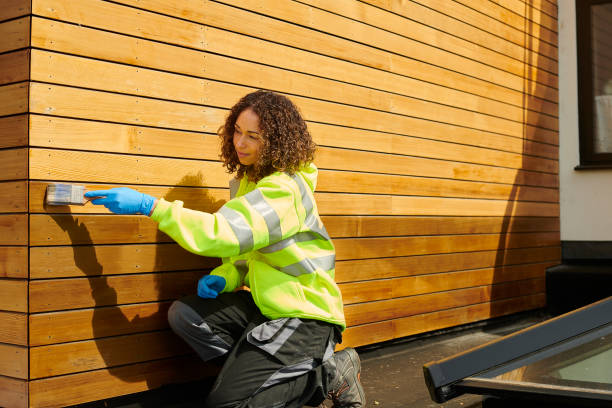 Best Aluminum Siding Installation  in Chisholm, ME